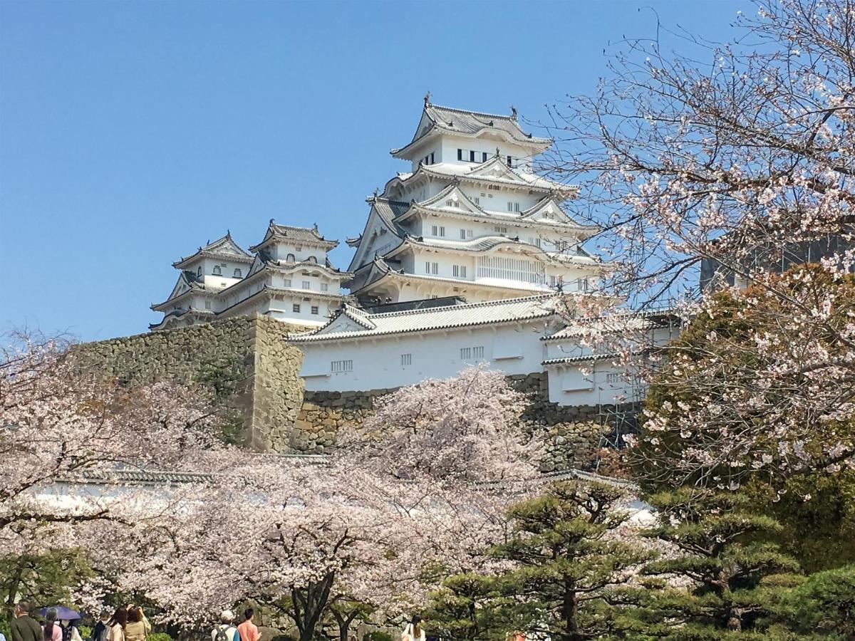招待所 白盐旅馆 *